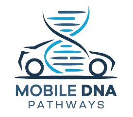 Mobile DNA Pathways